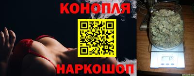 PSILOCYBIN Гай