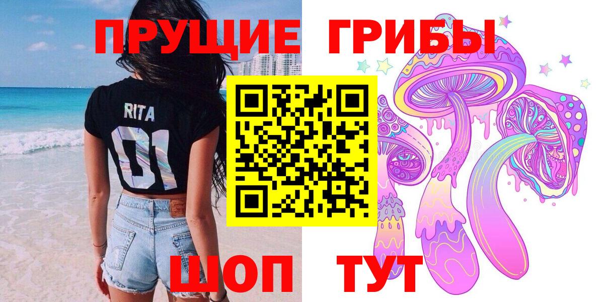 Псилоцибиновые грибы Cubensis Новоуральск